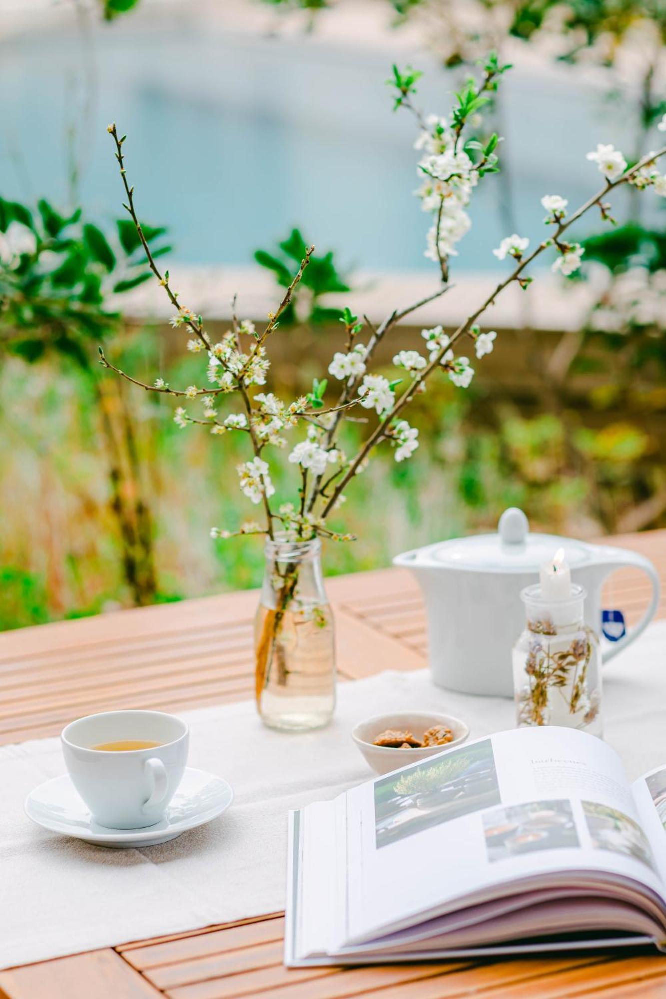 The Nest By Cooking And Nature อัลวาโดส ภายนอก รูปภาพ